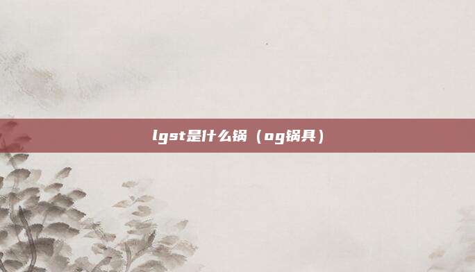 lgst是什么锅（og锅具）
