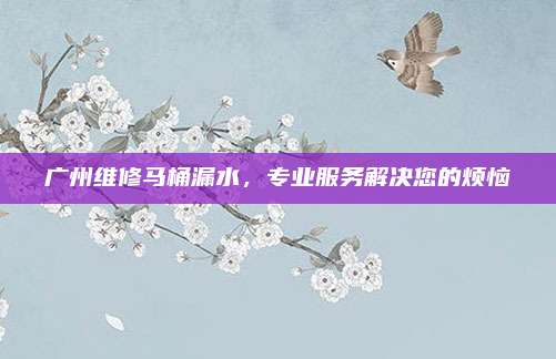 广州维修马桶漏水,专业服务解决您的烦恼
