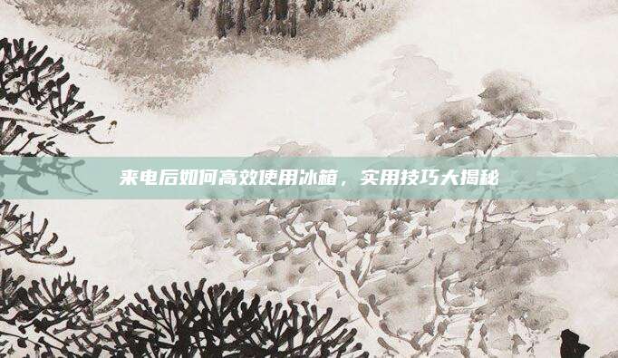 来电后如何高效使用冰箱,实用技巧大揭秘