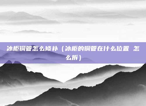 冰柜铜管怎么修补（冰柜的铜管在什么位置 怎么拆）