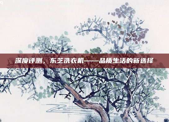 深度评测,东芝洗衣机——品质生活的新选择