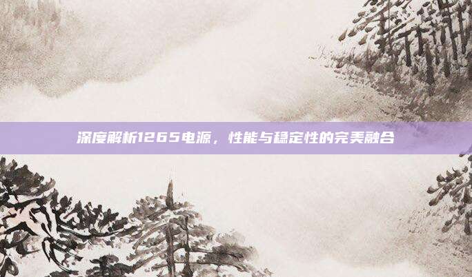 深度解析1265电源,性能与稳定性的完美融合