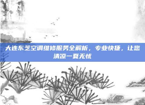 大连东芝空调维修服务全解析,专业快捷,让您清凉一夏无忧