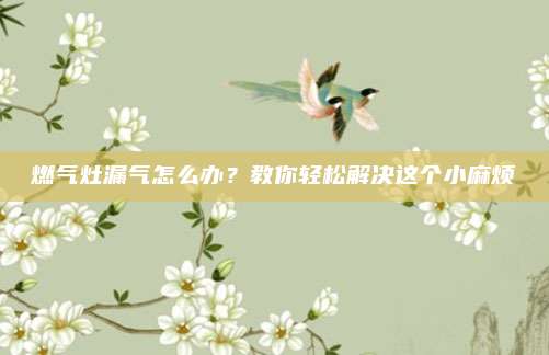 燃气灶漏气怎么办?教你轻松解决这个小麻烦