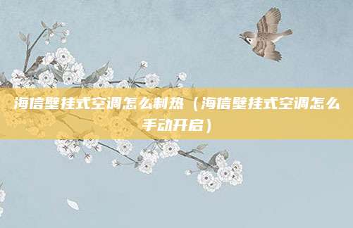 海信壁挂式空调怎么制热（海信壁挂式空调怎么手动开启）