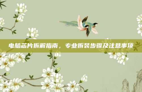 电脑芯片拆解指南,专业拆装步骤及注意事项