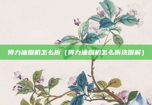 得力油烟机怎么拆(得力油烟机怎么拆洗图解)