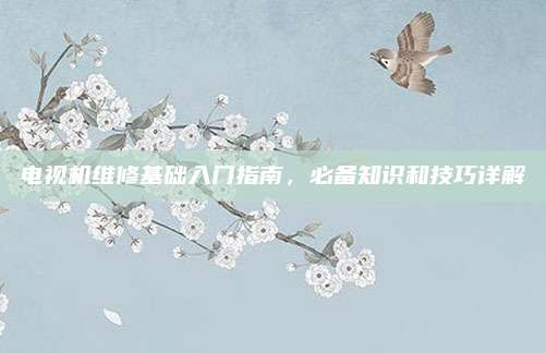 电视机维修基础入门指南,必备知识和技巧详解