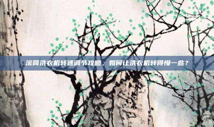 滚筒洗衣机转速调节攻略,如何让洗衣机转得慢一些?