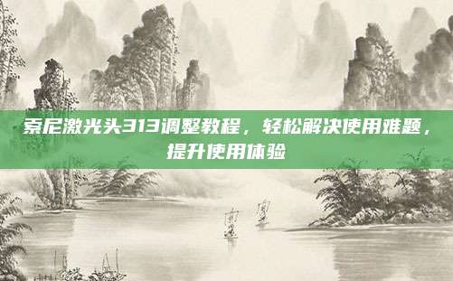 索尼激光头313调整教程,轻松解决使用难题,提升使用体验