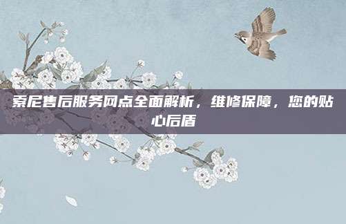 索尼售后服务网点全面解析,维修保障,您的贴心后盾