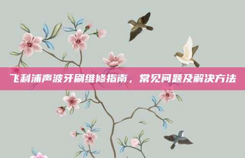 飞利浦声波牙刷维修指南，常见问题及解决方法
