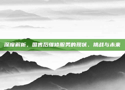 深度解析,国售后维修服务的现状、挑战与未来