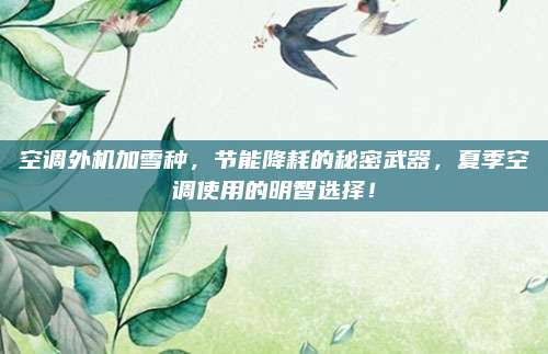 空调外机加雪种,节能降耗的秘密武器,夏季空调使用的明智选择!