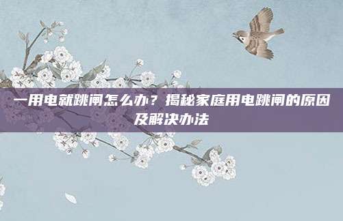 一用电就跳闸怎么办?揭秘家庭用电跳闸的原因及解决办法
