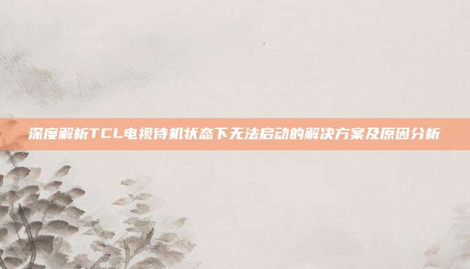 深度解析TCL电视待机状态下无法启动的解决方案及原因分析