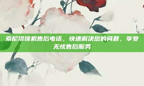 索尼摄像机售后电话,快速解决您的问题,享受无忧售后服务