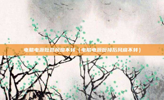 电脑电源短路风扇不转（电脑电源短接后风扇不转）