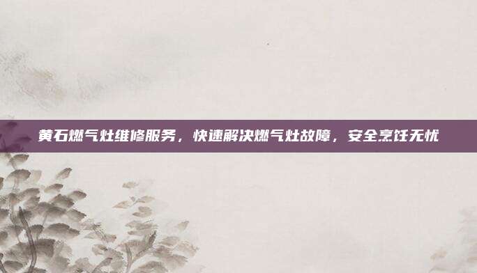 黄石燃气灶维修服务,快速解决燃气灶故障,安全烹饪无忧