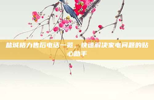 盐城格力售后电话一览,快速解决家电问题的贴心助手