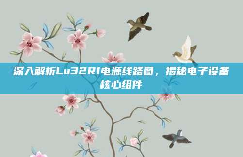 深入解析Lu32R1电源线路图,揭秘电子设备核心组件