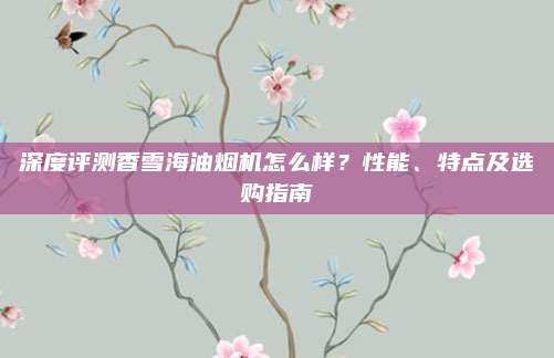 深度评测香雪海油烟机怎么样?性能、特点及选购指南