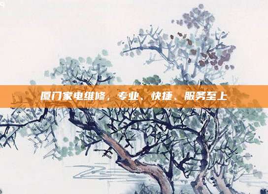 厦门家电维修,专业、快捷、服务至上