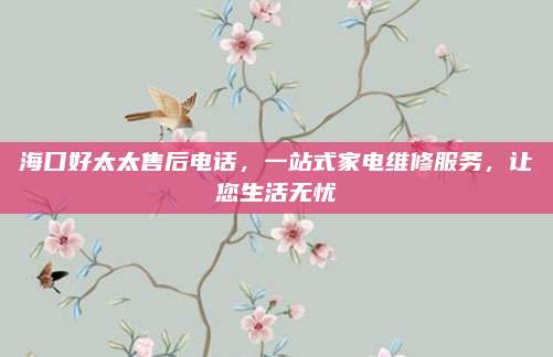 海口好太太售后电话,一站式家电维修服务,让您生活无忧