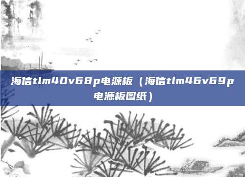 海信tlm40v68p电源板（海信tlm46v69p电源板图纸）