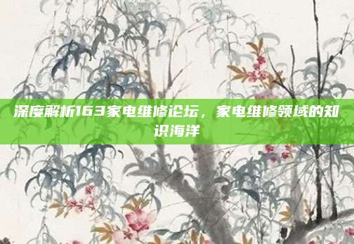 深度解析163家电维修论坛,家电维修领域的知识海洋