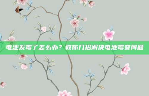 电池发霉了怎么办？教你几招解决电池霉变问题