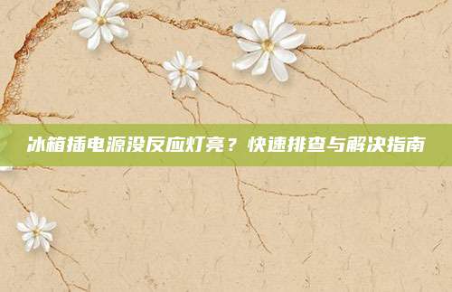 冰箱插电源没反应灯亮?快速排查与解决指南