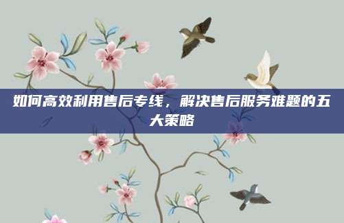 如何高效利用售后专线,解决售后服务难题的五大策略