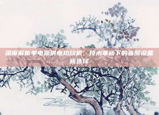 深度解析单电源供电功放机,技术革新下的音频设备新选择