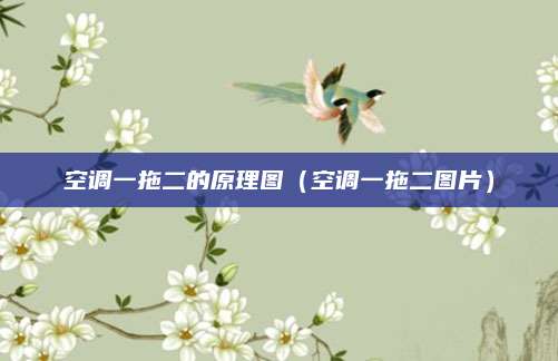 空调一拖二的原理图（空调一拖二图片）