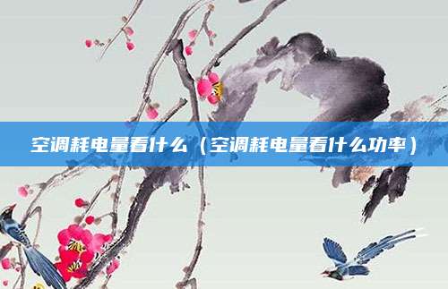空调耗电量看什么（空调耗电量看什么功率）