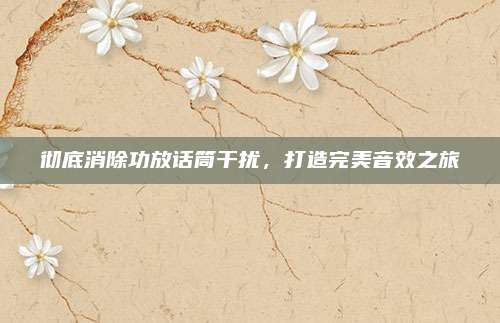 彻底消除功放话筒干扰，打造完美音效之旅