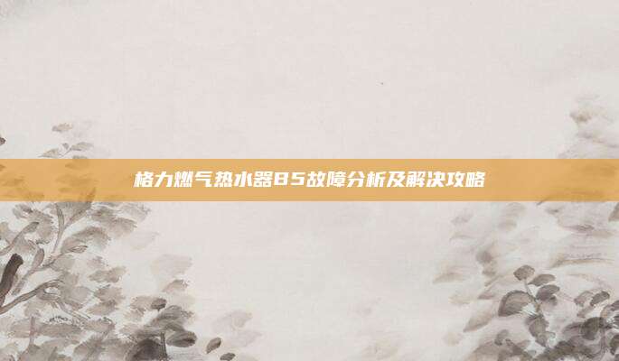 格力燃气热水器B5故障分析及解决攻略