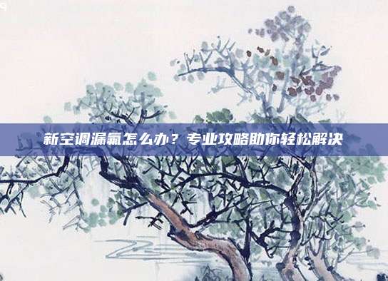新空调漏氟怎么办?专业攻略助你轻松解决