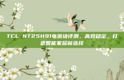 TCL NT25H91电源块评测，高效稳定，打造智能家居新选择