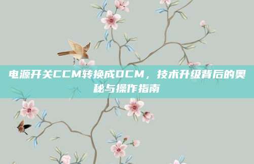 电源开关CCM转换成DCM,技术升级背后的奥秘与操作指南