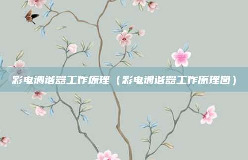 彩电调谐器工作原理（彩电调谐器工作原理图）