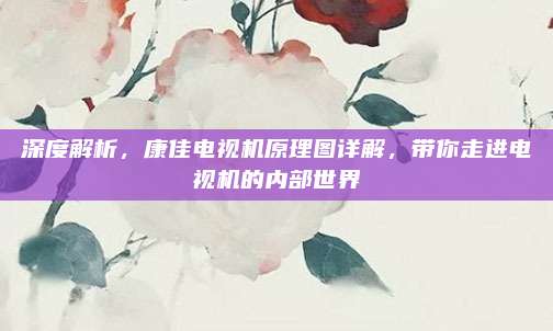 深度解析,康佳电视机原理图详解,带你走进电视机的内部世界
