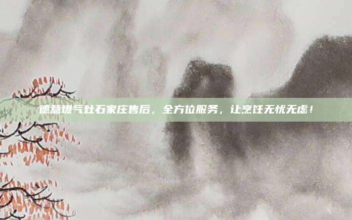 德意燃气灶石家庄售后,全方位服务,让烹饪无忧无虑!