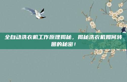 全自动洗衣机工作原理揭秘,揭秘洗衣机如何转圈的秘密!
