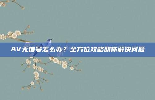 AV无信号怎么办?全方位攻略助你解决问题