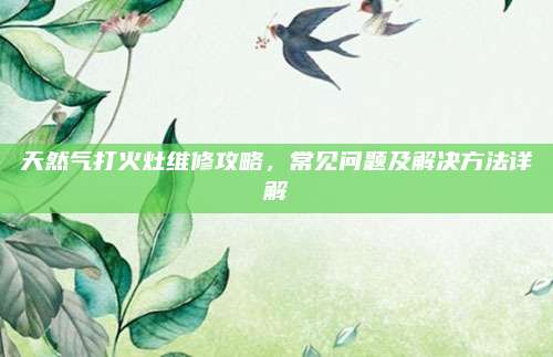 天然气打火灶维修攻略,常见问题及解决方法详解