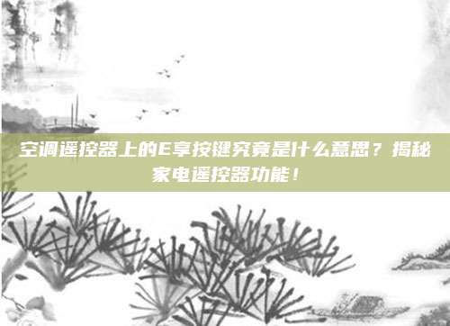 空调遥控器上的E享按键究竟是什么意思?揭秘家电遥控器功能!