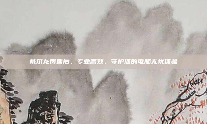戴尔龙岗售后,专业高效,守护您的电脑无忧体验