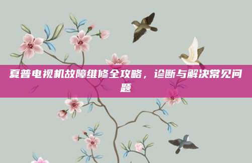 夏普电视机故障维修全攻略,诊断与解决常见问题